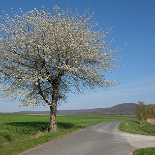 Neue Gruppe für Trauernde